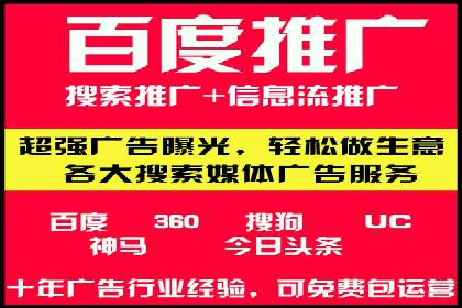 SEM广告投放中的数据监控与调整策略——以某品牌营销案例为例